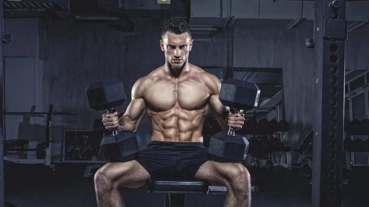 Musculation & Fitness Vibes