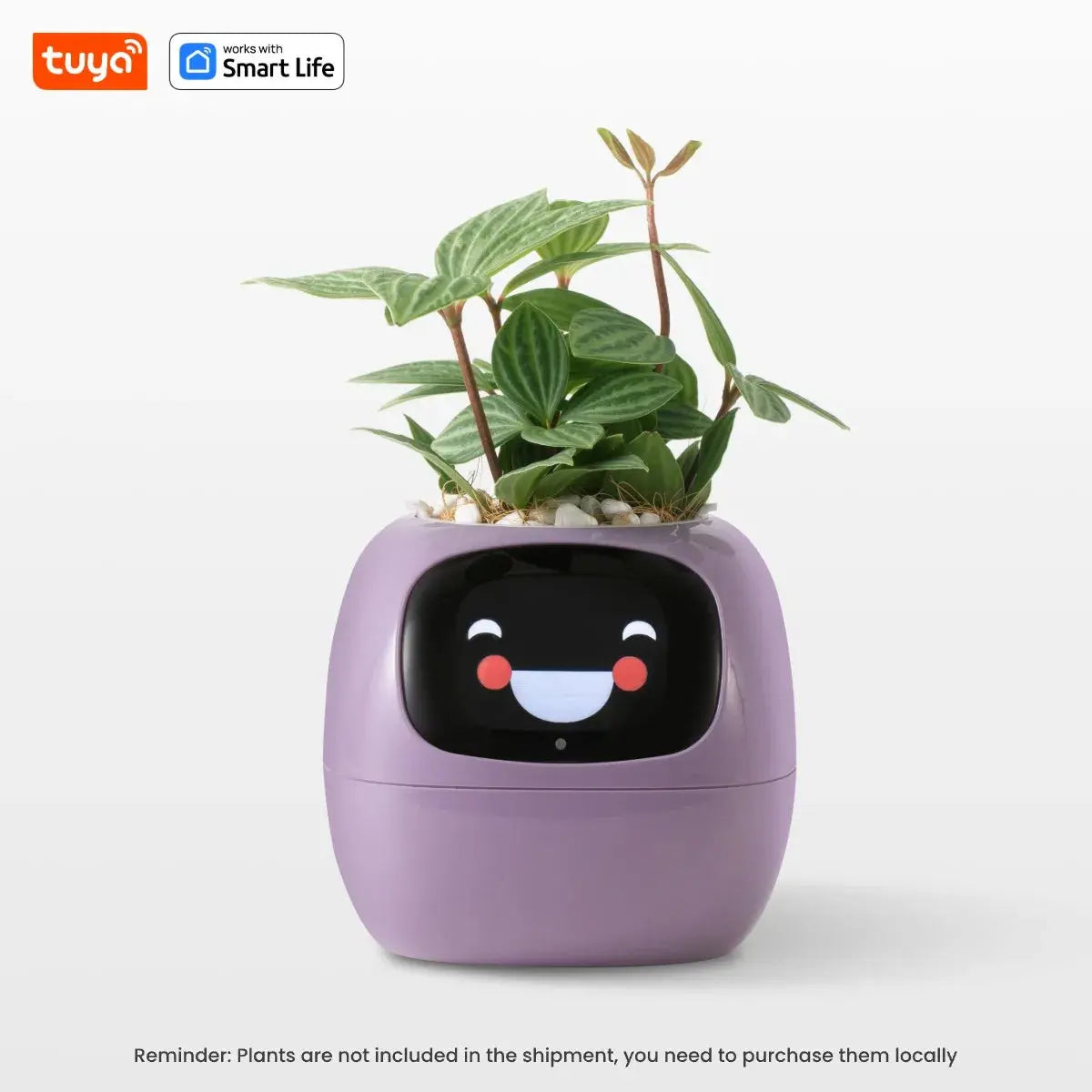 Tuya Ivy Smart Planter,Endless Fun Over 49 Rich Expressions,7 smart sensors,AI Chips Make Raising Plants Easy and Fun Vibes