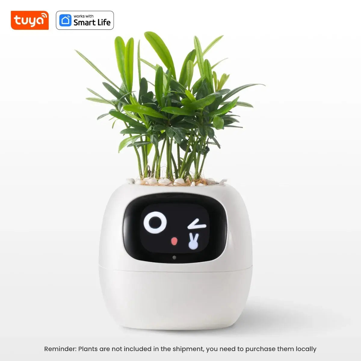 Tuya Ivy Smart Planter,Endless Fun Over 49 Rich Expressions,7 smart sensors,AI Chips Make Raising Plants Easy and Fun Vibes