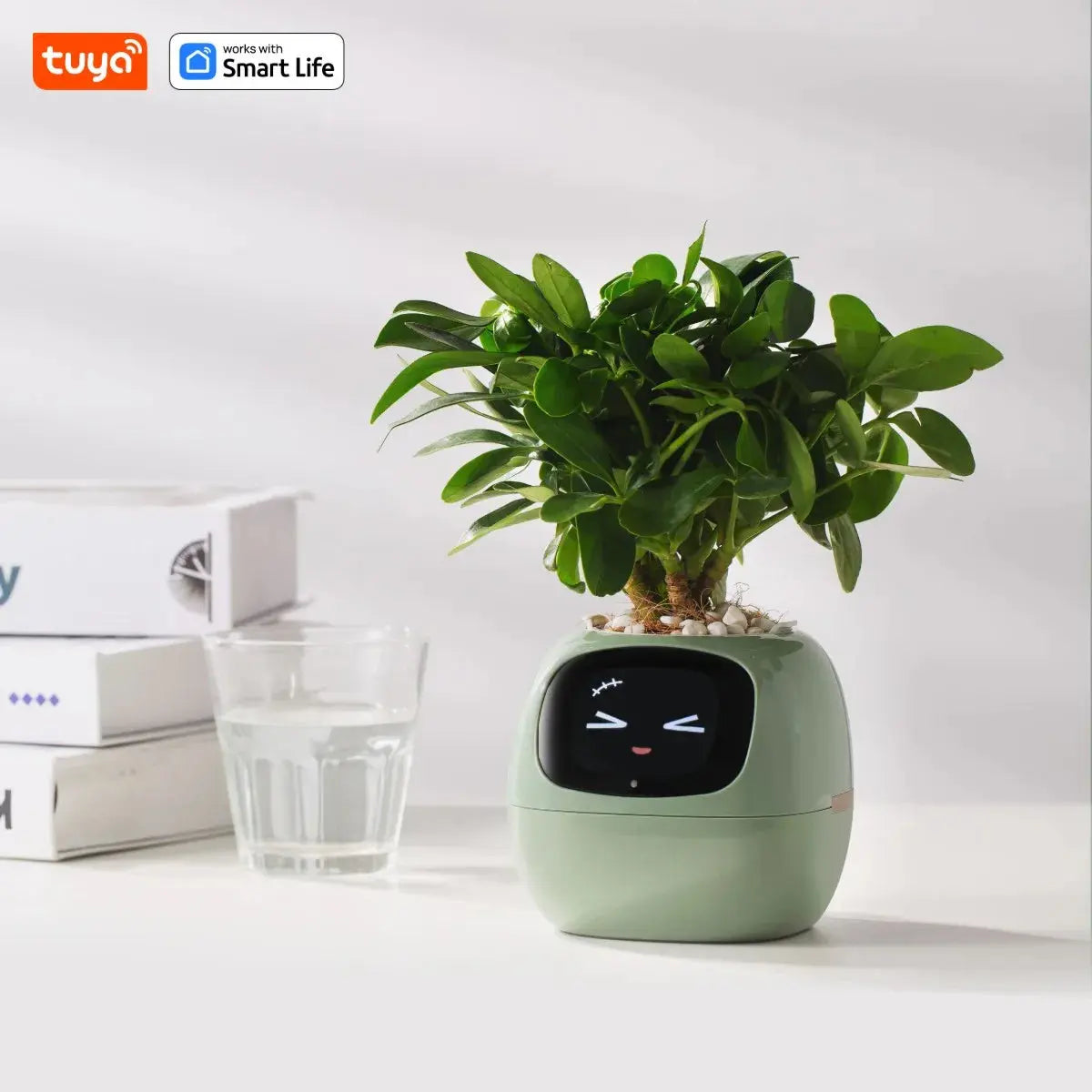 Tuya Ivy Smart Planter,Endless Fun Over 49 Rich Expressions,7 smart sensors,AI Chips Make Raising Plants Easy and Fun Vibes